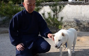 Moine Boudhiste et son chien