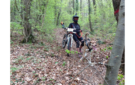CANI CROSS et BIKE-JORING     1 MAI 2015